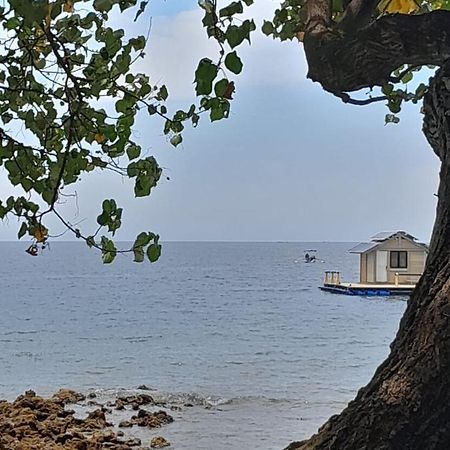 佩母得兰La Paparrucha Bali住宿加早餐旅馆 外观 照片