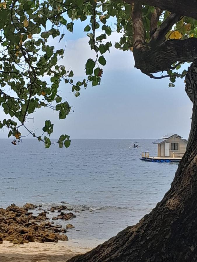 佩母得兰La Paparrucha Bali住宿加早餐旅馆 外观 照片